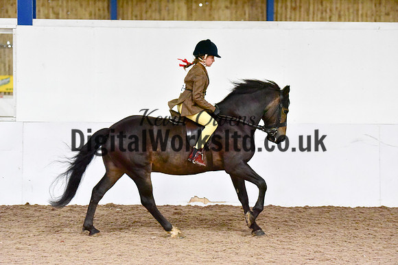 NECWPCA-SUMMER-WELSH-SILVER-MEDAL-SHOW (16 of 315)