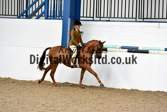 NECWPCA-SUMMER-WELSH-SILVER-MEDAL-SHOW (72 of 92)