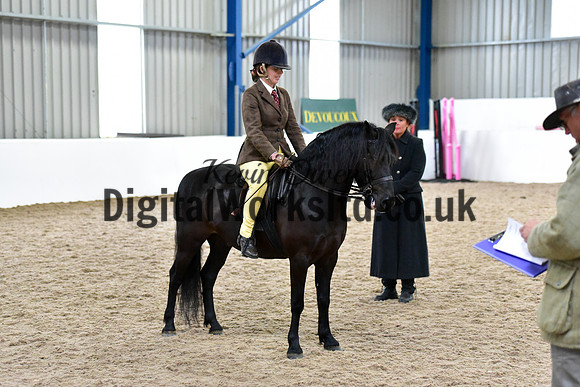 NECWPCA-SUMMER-WELSH-SILVER-MEDAL-SHOW (147 of 315)