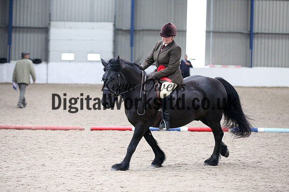 NECWPCA-SUMMER-WELSH-SILVER-MEDAL-SHOW (142 of 315)