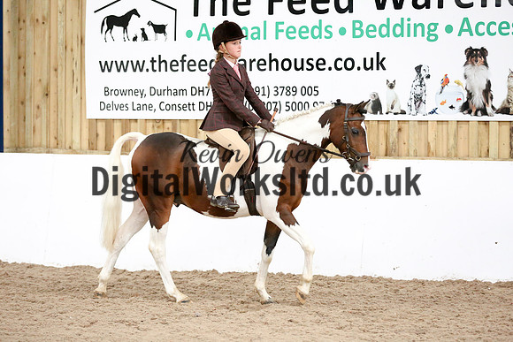NECWPCA-SUMMER-WELSH-SILVER-MEDAL-SHOW (61 of 419)