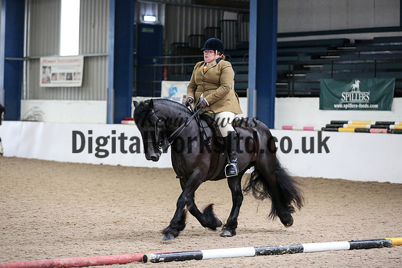 NECWPCA-SUMMER-WELSH-SILVER-MEDAL-SHOW (123 of 325)