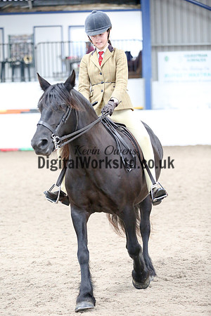 NECWPCA-SUMMER-WELSH-SILVER-MEDAL-SHOW (8 of 120)