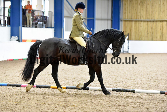 NECWPCA-SUMMER-WELSH-SILVER-MEDAL-SHOW (167 of 315)
