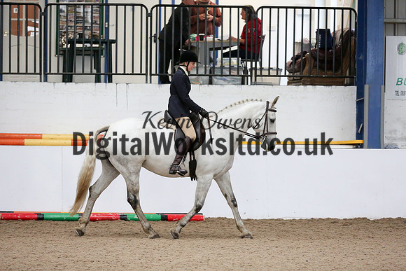 NECWPCA-SUMMER-WELSH-SILVER-MEDAL-SHOW (27 of 315)