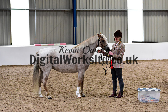 NECWPCA-SUMMER-WELSH-SILVER-MEDAL-SHOW (36 of 61)