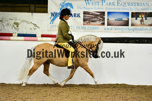 NECWPCA-SUMMER-WELSH-SILVER-MEDAL-SHOW (78 of 325)