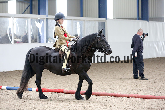 NECWPCA-SUMMER-WELSH-SILVER-MEDAL-SHOW (98 of 315)