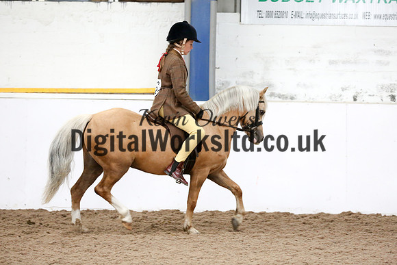 NECWPCA-SUMMER-WELSH-SILVER-MEDAL-SHOW (31 of 325)