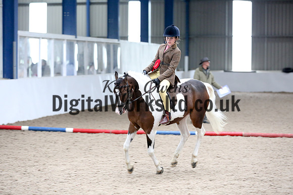 NECWPCA-SUMMER-WELSH-SILVER-MEDAL-SHOW (138 of 315)