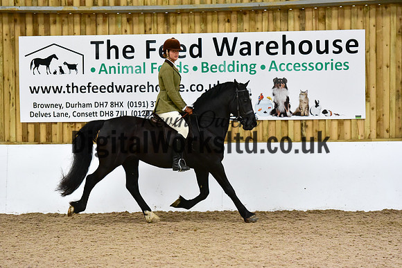 NECWPCA-SUMMER-WELSH-SILVER-MEDAL-SHOW (215 of 325)