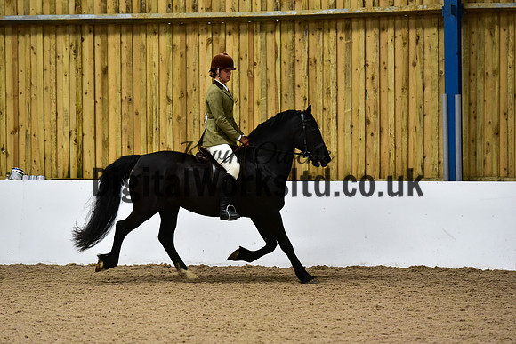 NECWPCA-SUMMER-WELSH-SILVER-MEDAL-SHOW (214 of 325)