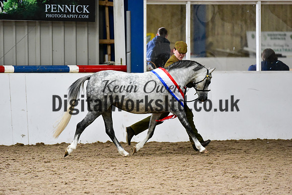 NECWPCA-SUMMER-WELSH-SILVER-MEDAL-SHOW (17 of 159)