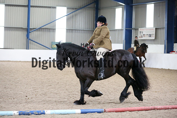 NECWPCA-SUMMER-WELSH-SILVER-MEDAL-SHOW (132 of 325)