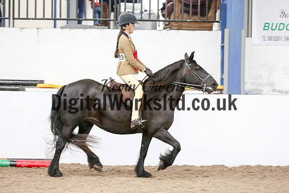 NECWPCA-SUMMER-WELSH-SILVER-MEDAL-SHOW (111 of 315)