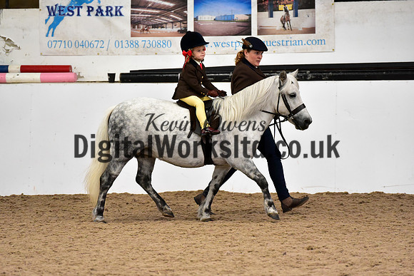 NECWPCA-SUMMER-WELSH-SILVER-MEDAL-SHOW (116 of 120)