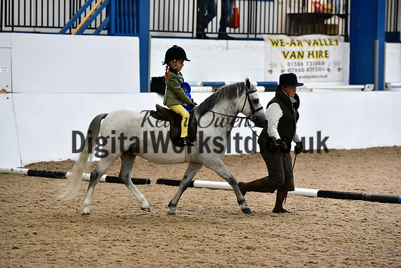 NECWPCA-SUMMER-WELSH-SILVER-MEDAL-SHOW (38 of 419)