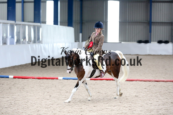 NECWPCA-SUMMER-WELSH-SILVER-MEDAL-SHOW (137 of 315)