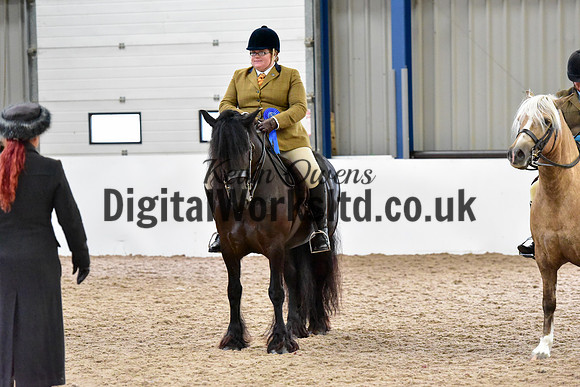 NECWPCA-SUMMER-WELSH-SILVER-MEDAL-SHOW (162 of 325)