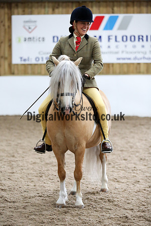 NECWPCA-SUMMER-WELSH-SILVER-MEDAL-SHOW (218 of 315)