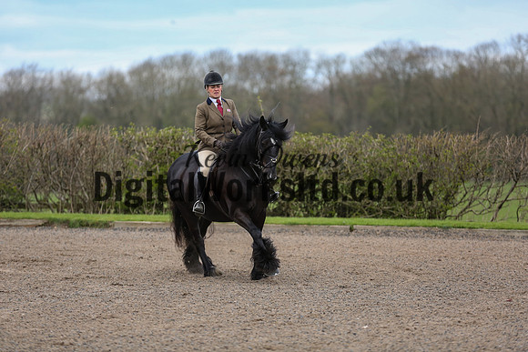 BDH-Point-to-Point-86