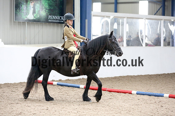 NECWPCA-SUMMER-WELSH-SILVER-MEDAL-SHOW (96 of 315)
