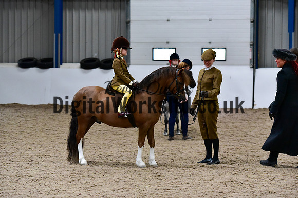 NECWPCA-SUMMER-WELSH-SILVER-MEDAL-SHOW (15 of 135)
