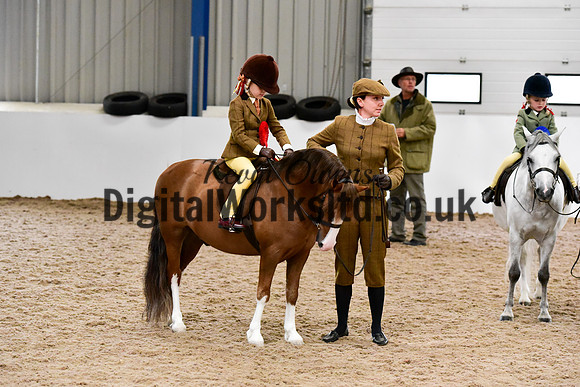 NECWPCA-SUMMER-WELSH-SILVER-MEDAL-SHOW (12 of 419)