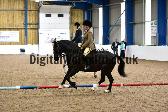 NECWPCA-SUMMER-WELSH-SILVER-MEDAL-SHOW (63 of 315)