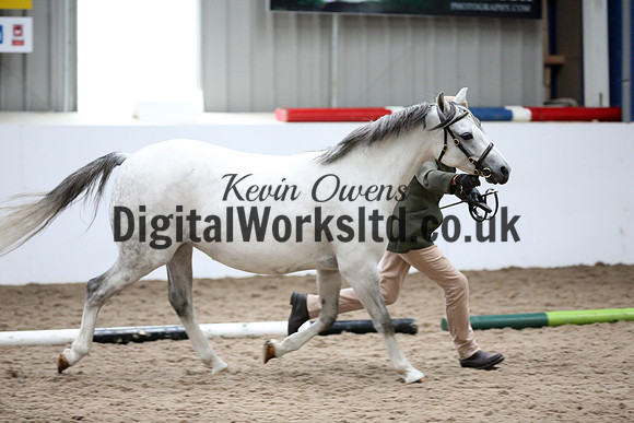 NECWPCA-SUMMER-WELSH-SILVER-MEDAL-SHOW (25 of 427)