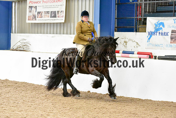 NECWPCA-SUMMER-WELSH-SILVER-MEDAL-SHOW (166 of 325)