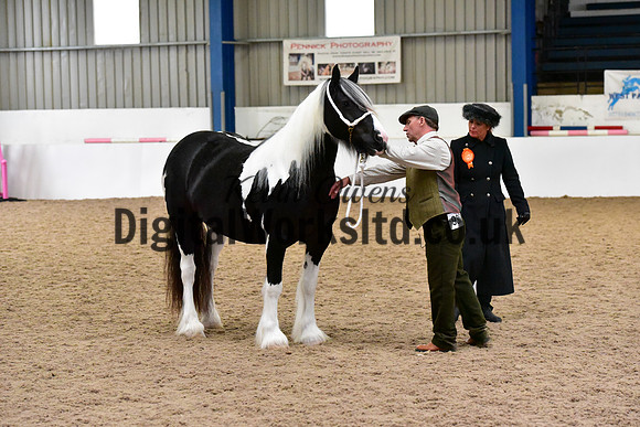 NECWPCA-SUMMER-WELSH-SILVER-MEDAL-SHOW (26 of 150)