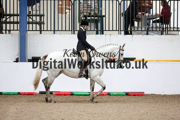 NECWPCA-SUMMER-WELSH-SILVER-MEDAL-SHOW (24 of 315)