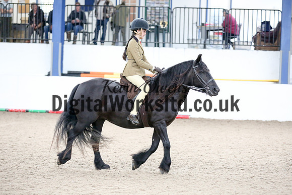 NECWPCA-SUMMER-WELSH-SILVER-MEDAL-SHOW (19 of 135)