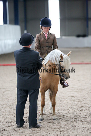 NECWPCA-SUMMER-WELSH-SILVER-MEDAL-SHOW (39 of 325)