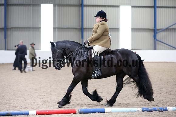NECWPCA-SUMMER-WELSH-SILVER-MEDAL-SHOW (127 of 325)