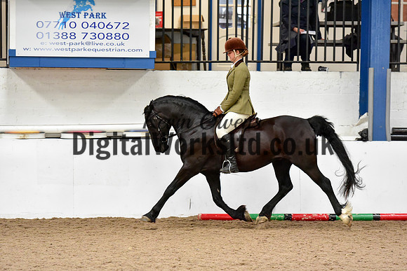 NECWPCA-SUMMER-WELSH-SILVER-MEDAL-SHOW (43 of 92)