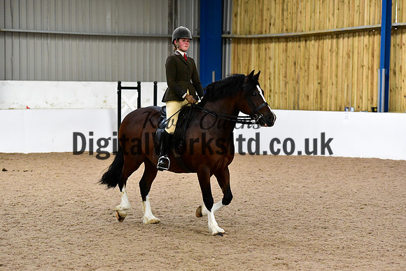 NECWPCA-SUMMER-WELSH-SILVER-MEDAL-SHOW (27 of 92)