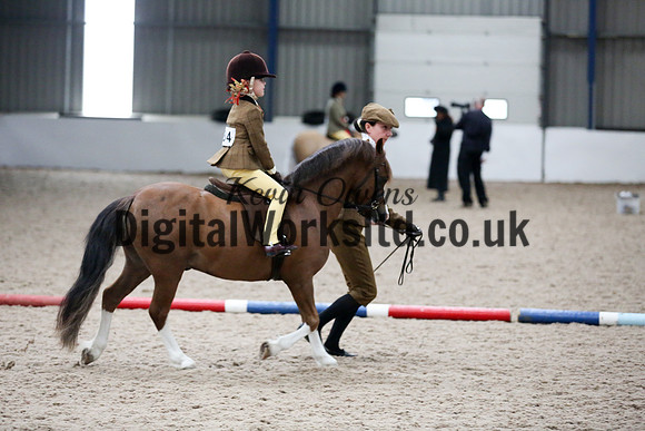 NECWPCA-SUMMER-WELSH-SILVER-MEDAL-SHOW (95 of 325)