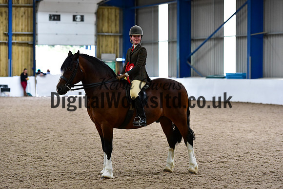 NECWPCA-SUMMER-WELSH-SILVER-MEDAL-SHOW (203 of 325)