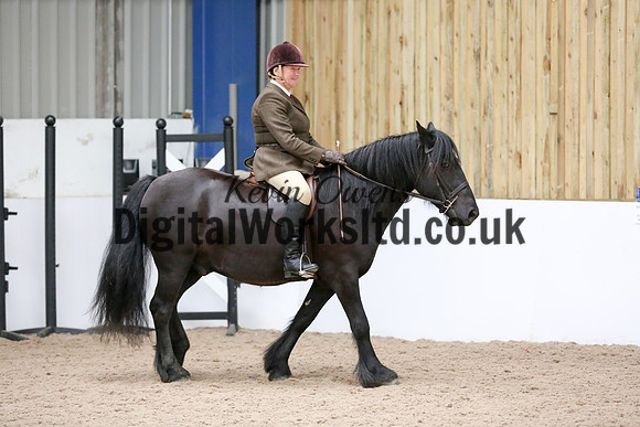 NECWPCA-SUMMER-WELSH-SILVER-MEDAL-SHOW (24 of 419)