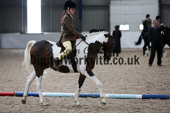 NECWPCA-SUMMER-WELSH-SILVER-MEDAL-SHOW (74 of 315)
