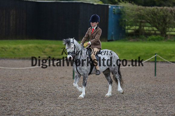 BDH-Point-to-Point-181