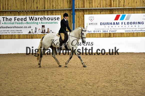 NECWPCA-SUMMER-WELSH-SILVER-MEDAL-SHOW (66 of 315)
