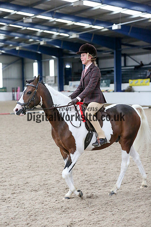 NECWPCA-SUMMER-WELSH-SILVER-MEDAL-SHOW (83 of 419)