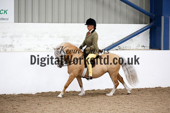 NECWPCA-SUMMER-WELSH-SILVER-MEDAL-SHOW (195 of 315)