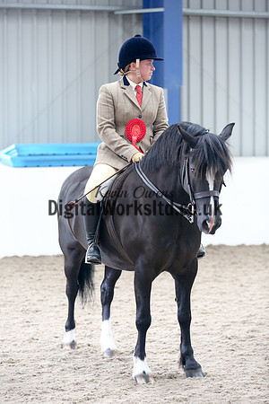 NECWPCA-SUMMER-WELSH-SILVER-MEDAL-SHOW (16 of 325)