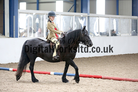 NECWPCA-SUMMER-WELSH-SILVER-MEDAL-SHOW (97 of 315)