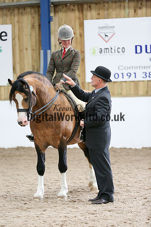 NECWPCA-SUMMER-WELSH-SILVER-MEDAL-SHOW (284 of 315)