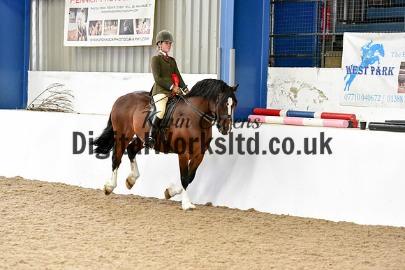 NECWPCA-SUMMER-WELSH-SILVER-MEDAL-SHOW (165 of 325)